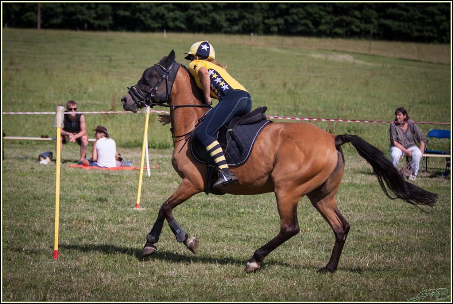 Mounted Games 326